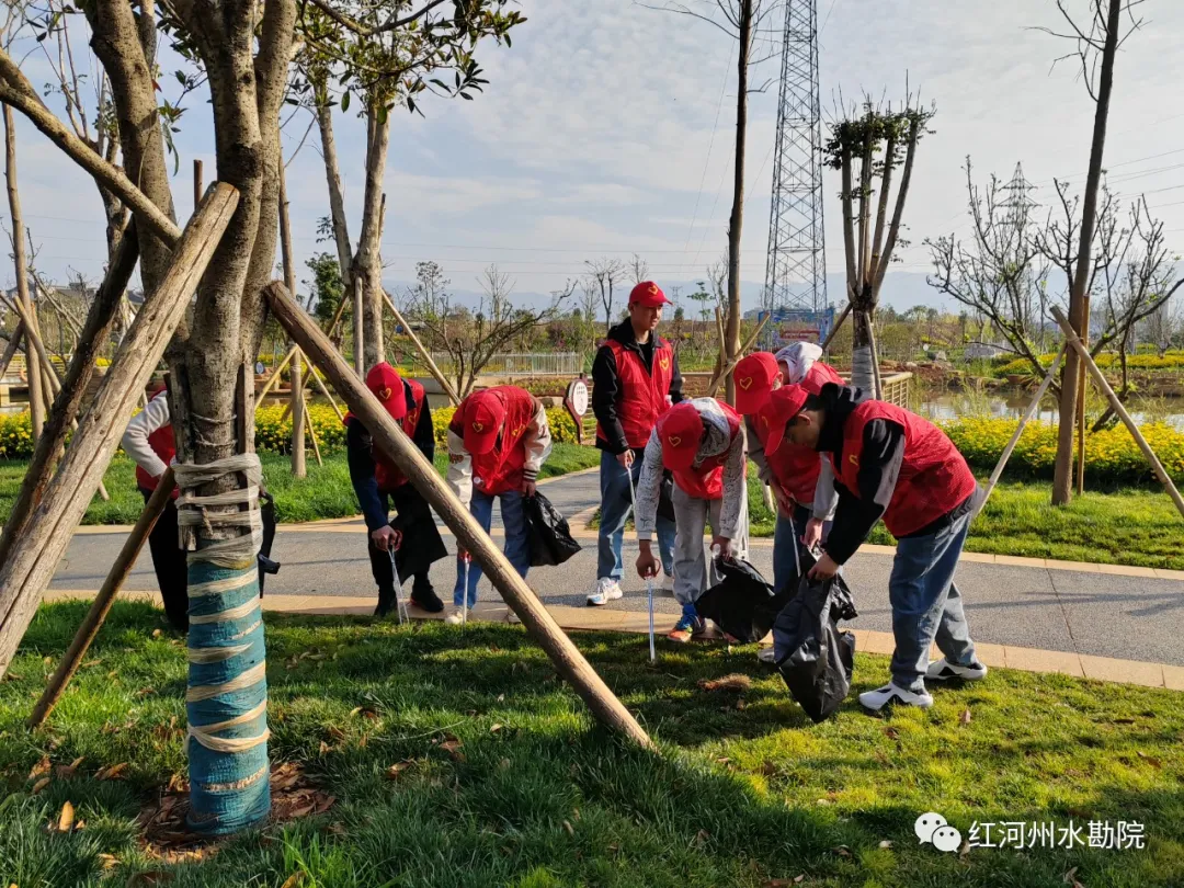 IMG_20230317_090638.jpg 图片