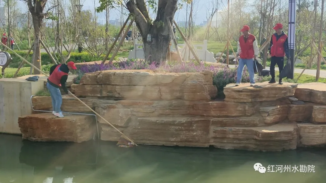 IMG_20230317_091548_副本.jpg 图片